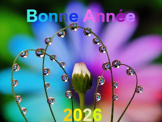 BA2026